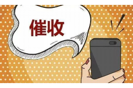 龍井要錢公司哪里找？揭秘專業(yè)金融服務(wù)機(jī)構(gòu)