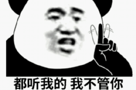 沈陽通聯(lián)催收電話號碼：揭秘高效債務(wù)回收之道