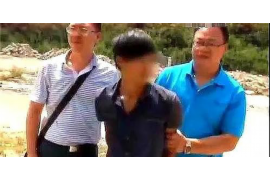 螞蟻花唄催收賺錢么？揭秘花唄催收背后的商業(yè)模式