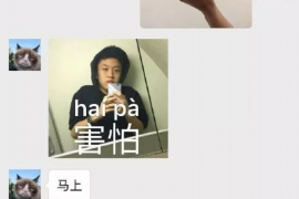 信用卡銀行委托催收：揭秘債務(wù)催收流程與應(yīng)對策略