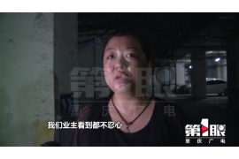 追討債務民事起訴書：法律武器助您維權