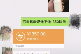 討債者波比856：揭秘債務(wù)追收領(lǐng)域的“神秘英雄”