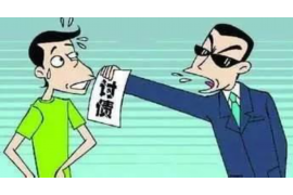 鎮(zhèn)安要賬公司哪家好？揭秘優(yōu)質(zhì)服務(wù)與專業(yè)實(shí)力