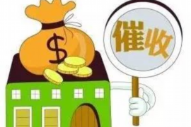 防城清數(shù)公司聯(lián)系電話：一站式服務(wù)，助力企業(yè)數(shù)據(jù)管理
