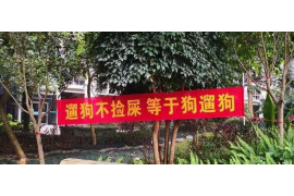 海綿寶寶章魚(yú)哥去討債：一場(chǎng)跨次元的債務(wù)追逐之旅