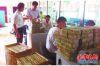 催收找錯(cuò)人怎么解決？揭秘解決誤催收的五大策略