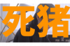 阿城清數(shù)公司聯(lián)系電話