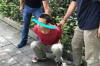 如何接貸款公司催收業(yè)務(wù)：全面攻略與案例分析